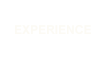 Experience